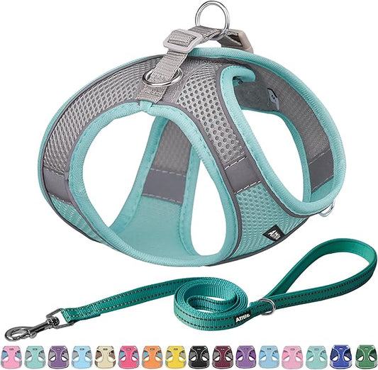 AIITLE Dog Harness, No-Pull Cat Harness with a Leash, Adjustable Reflective Dog Vest, Cat Harness Escape Proof, Outdoor Walking, Running,Training for Extra Small Dogs and House Cats Turquoise XXXS