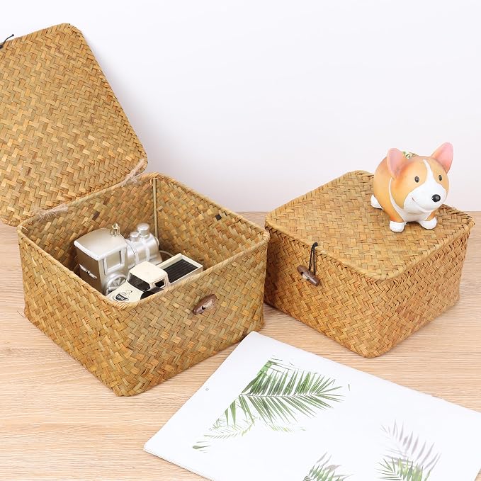Moosky Wicker Shelf Baskets with Lid, Handwoven Seagrass Storage Basket Bins Square Gift Boxes for Shelves Home Decor Organizer (Natural, Small)
