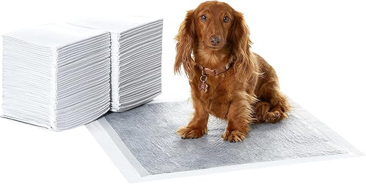 Amazon Basics Carbon Odor Control Dog and Puppy Pee Pads, 5-Layer Leak-Proof Super Absorbent, Quick-Dry Surface for Potty Training, Regular Size 22"x22", Gray, 120 Count