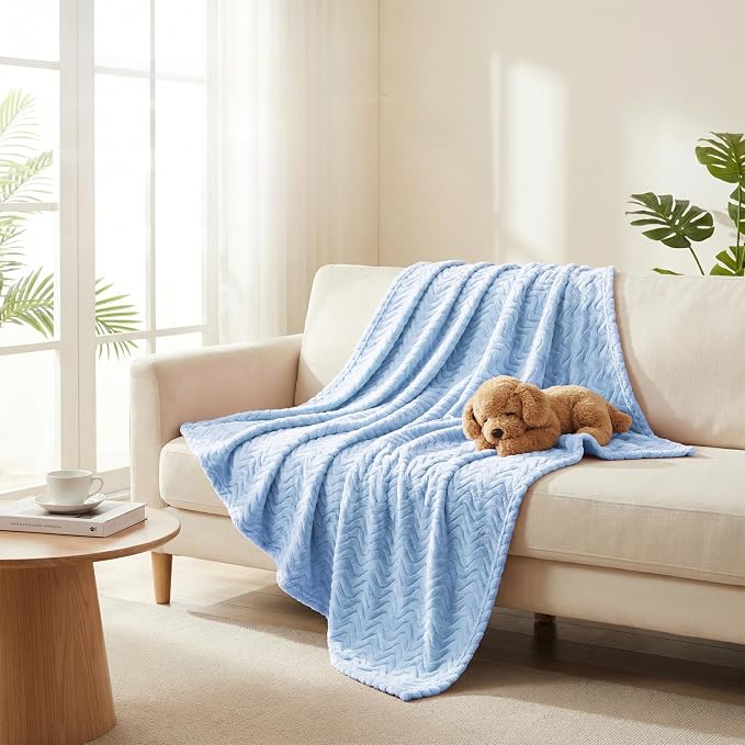Exclusivo Mezcla Soft Fleece Blanket Twin Size for Bed, Sofa, Light Blue | 90"x66" Breathable Lightweight Flannel Blanket for Summer, Plush Cozy Jacquard Wave for Home Decor