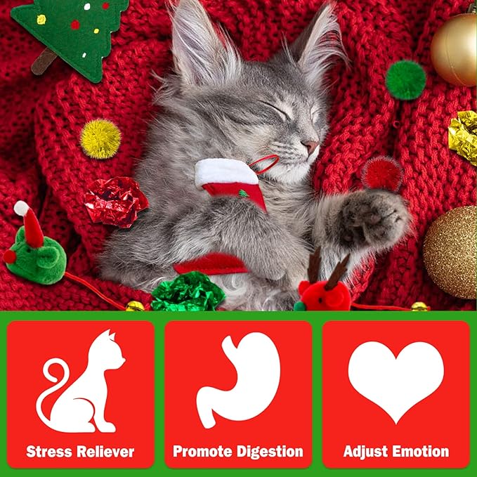 Cat Christmas Stocking, 10 Pack Gifts for Christmas, Interactive Feather Toy with Catnip, Cat Ball Toys, Crinkle Balls, Mice Toys for Indoor Cats & Kitten
