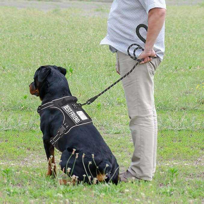 Heavy Duty Tactical Dog Harness for Large Dogs, No Pull Adjustable Pet Harness Reflective Service Training Easy Control Pet Vest Military K9 Working Dog Harnesses-X- Large, Black