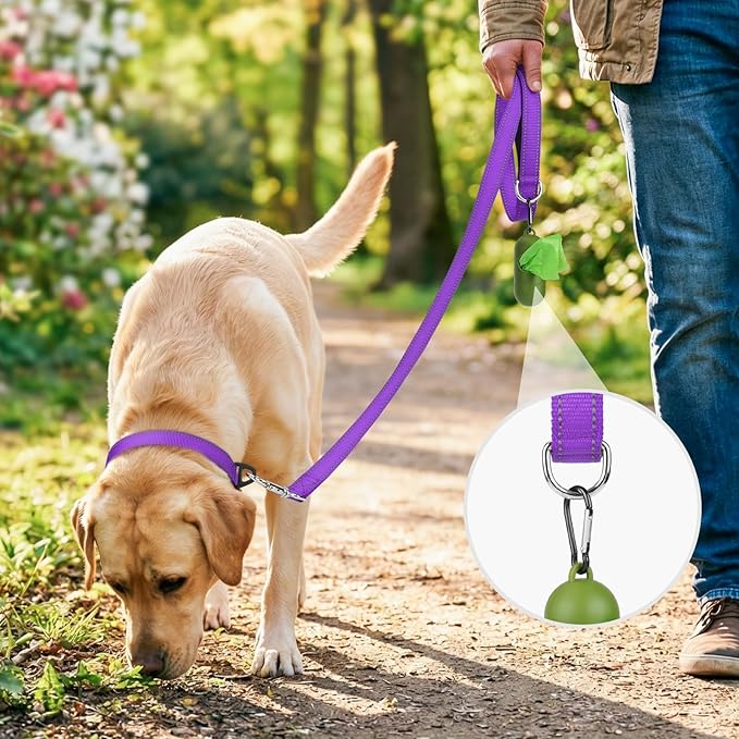 Joytale Dog Leash, 4 FT Double-Sided Reflective, Padded Handle Nylon Heavy Duty Leashes for Medium & Large Dogs Walking, Purple