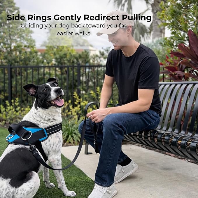 ShawnCo Essential Dog Harness, No-Pull Pet Vest with 3 Leash Clips, No Choke, Reflective, Adjustable and Padded, for Easy Walking and Training for Small, Medium and Large Dogs (Seafoam, S)