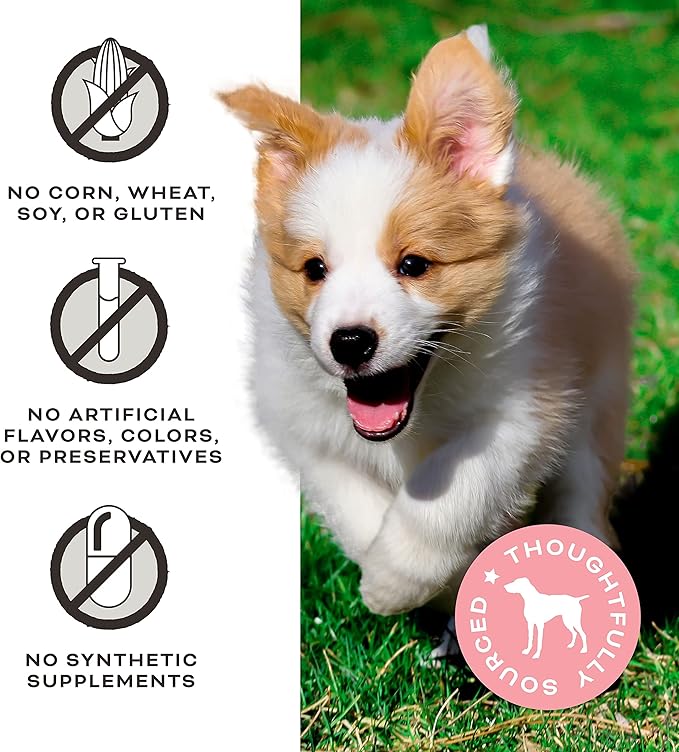 Primal Freeze Dried Dog Treats, Chicken with Pumpkin & Goat Milk, Grain Free Training Treats for Dogs, 2 oz