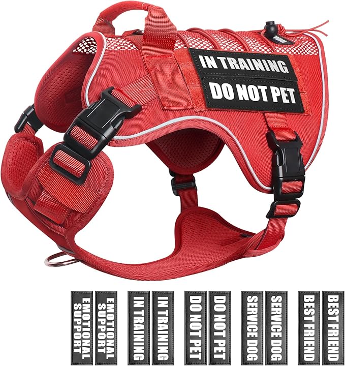 WINSEE Service Dog in Training Mesh Harness with 10 Pet Patches, Soft Air Mesh Breathable Tactical Dog Molle Vest, Reflective Military Pet Vest for Walking Hiking for Small Dogs