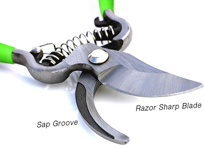 Garden Guru Classic Bypass Pruning Shears Clippers ??Heavy Duty Forged Steel Garden Pruners ??Safety Lock ??Non Slip Comfort Grips ??Cuts up to 1????Professional Bypass Pruners for Gardening (2 Pack)