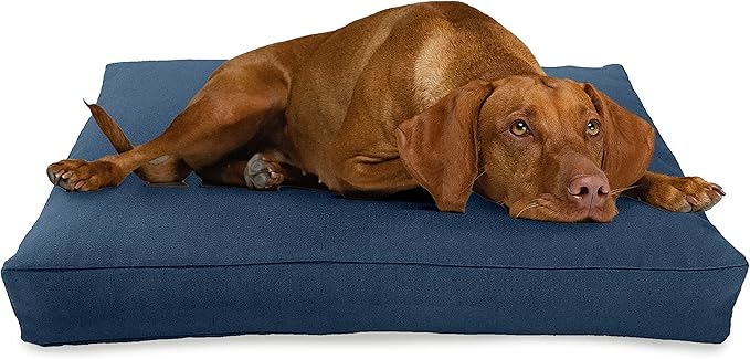 Small - 30 x 20 x 4 - Blueberry Premium Organic Hemp Dog Bed - Organic Latex Fill - Removeable Cover