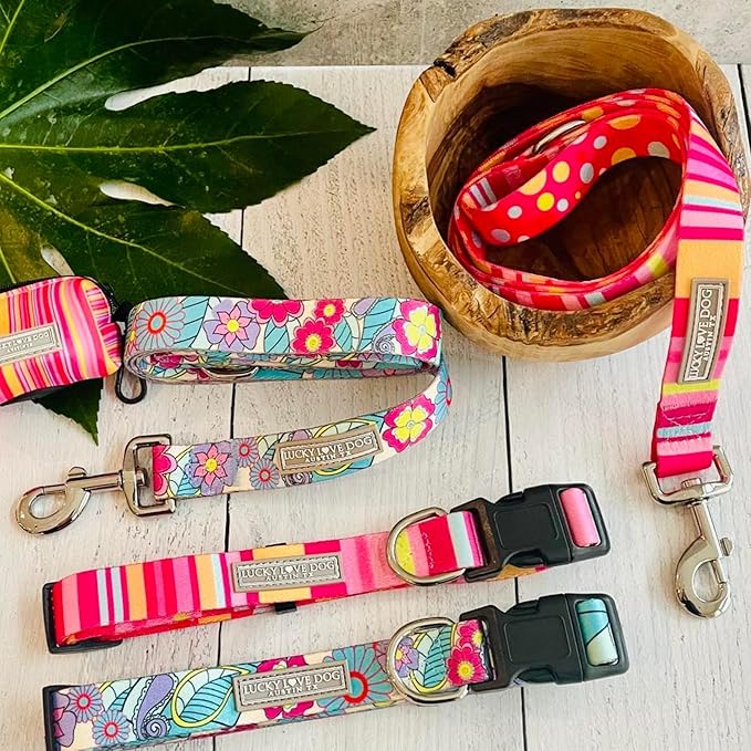 Lucky Love Dog - Easy Click Buckle Dog Collar with Leash Set Combo, Durable & Comfortable for Male & Female Dogs, Pet Collar for Small Dogs, Secure Fit - Molly Combo, Small