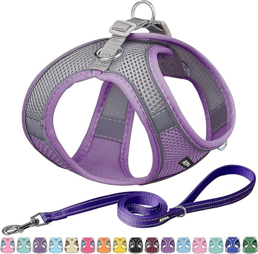 AIITLE Easy Walk Dog Harness and Leash Set - Pet Supply No Pull, Step in Adjustable Dog Harness with Padded Vest for All Weather, Dog Harness No Choke Over, Easy to Put on Medium Dogs Purple L