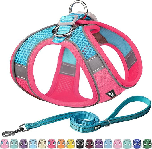 AIITLE Escape Proof Dog Harness - Step in Adjustable Dog Harness No Choke Over with Breathable Mesh and Quick-Release Buckle for All Weather- Outdoor Walking, Training for Medium Dogs Hot Pink XL