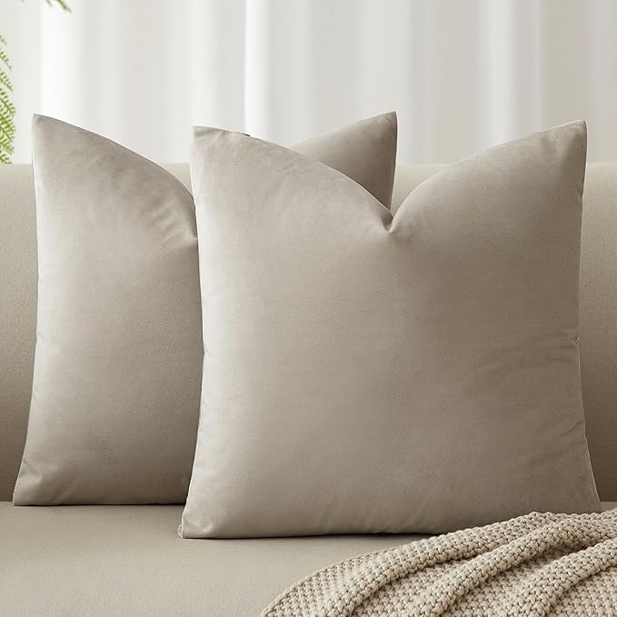 JUSPURBET 28x28 Decorative Velvet Throw Pillow Covers Cases Set of 2,Cloud | Cozy Soft Euro Cushion Covers with Hidden Zipper for Couch Sofa Bed Living Room Bedroom Home Decor