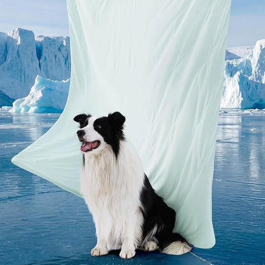 Bedsure Cooling Blanket for Medium Dogs with Breathable Air-Core Fill Q-MAX>0.4 - Dog Cooling Mat Soft, Lightweight Pet Cat Throw Cold Blanket Washable for Summer, Pale Jade, 30x40