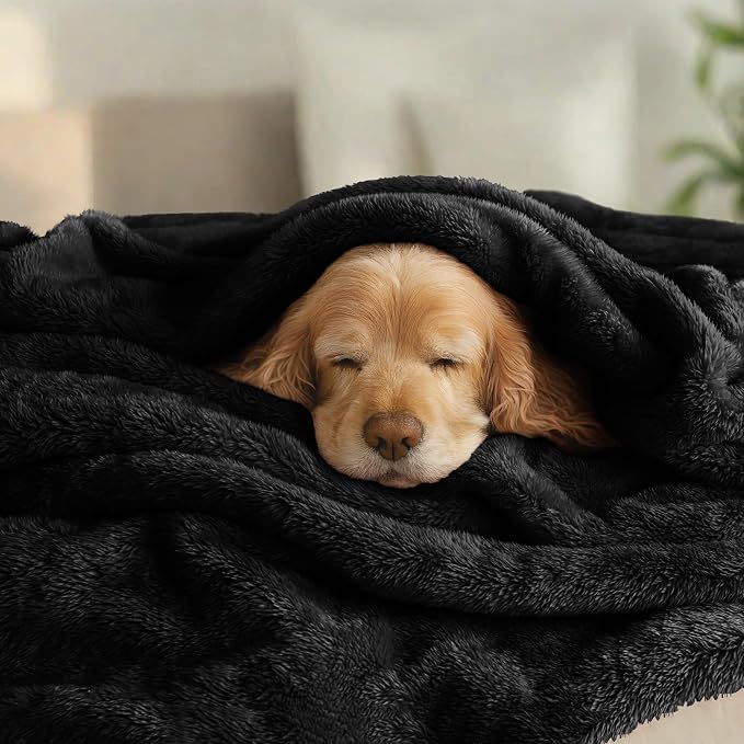 Exclusivo Mezcla Fuzzy Plush Fleece Bed Blanket King Size, Black | 104x90 Inches, Super Soft and Cozy Bed Blanket, Fluffy Decorative Bedding for Livingroom, Bedroom, All Season