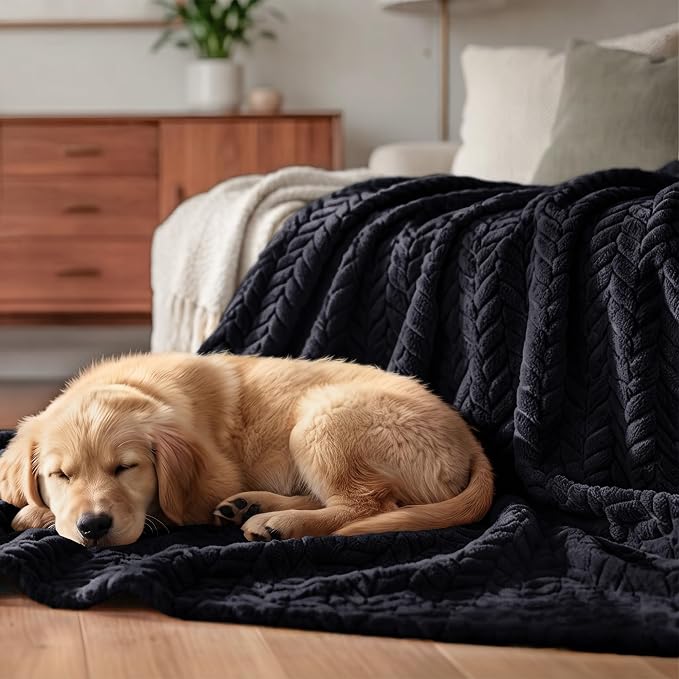 Exclusivo Mezcla Soft Fleece Bed Blanket Twin Size, 60”x80”, Black | Cozy Fluffy Lightweight Blankets for Summer, Decorative Plush Flannel Throws for Living room, Bedroom with Leaves Pattern