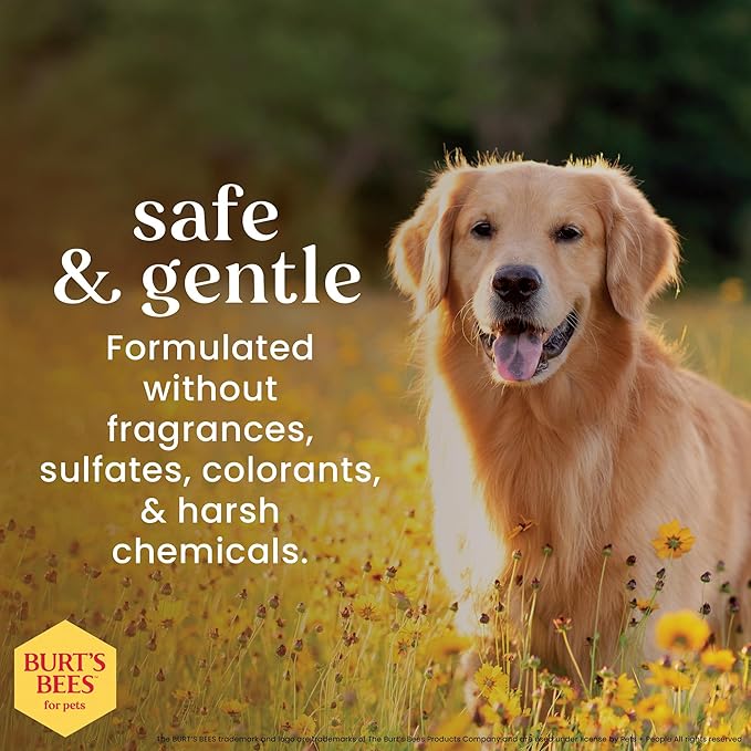 Burt’s Bees for Pets Oatmeal Dog Shampoo with Honey, Soothing Dog Shampoo for Itchy and Sensitive Skin, pH Balanced Formula That Gently Cleans and Moisturizes Dog Coats, 32 Fl Oz