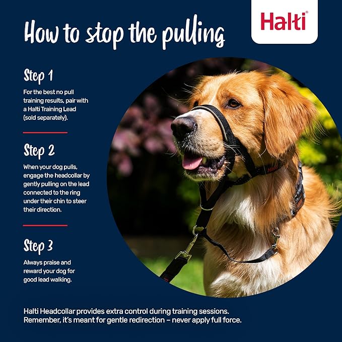 Halti Headcollar - Stop Your Dog Pulling on The Leash. Adjustable, Reflective and Lightweight, with Padded Nose Band. Dog Training Anti-Pull Collar for Small Dogs (Size 1, Burnt Orange)