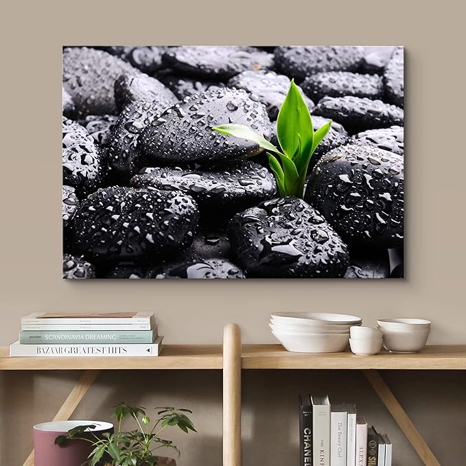 wall26 Canvas Print Wall Art Raindrops on Black Rocks with Sprouting Plant Floral Nature Photography Realism Bohemian Scenic Relax/Calm Cool for Living Room, Bedroom, Office - 24"x36"