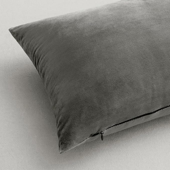 MIULEE Velvet Throw Pillow Covers 20x20 Inch Pack of 2 Grey | Soft Solid Decorative Pillow Covers, Modern Luxury Home Decor, for Couch Chair Sofa Bedroom Livingroom
