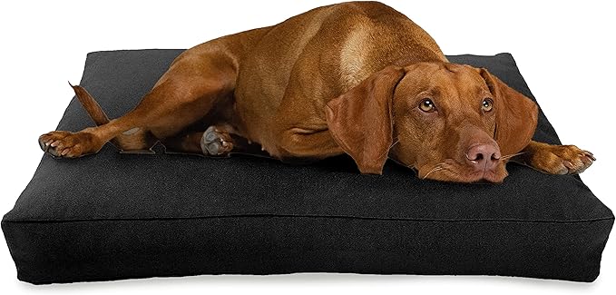 Small - 30 x 20 x 4 - Black Premium Organic Hemp Dog Bed - Organic Latex Fill - Removeable Cover