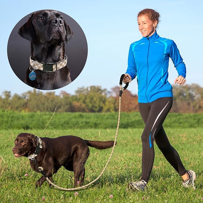 Reflective Dog Collar Padded with Soft Neoprene Breathable Adjustable Nylon Dog Collars for Small Medium Large Dogs (Small (Pack of 1), Vanilla Plaid Collar+Leash)