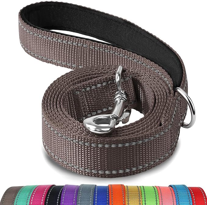 Joytale Double-Sided Reflective Dog Leash, 4 FT, Padded Handle Nylon Heavy Duty Leashes for Small & Medium Dogs Walking, Brown