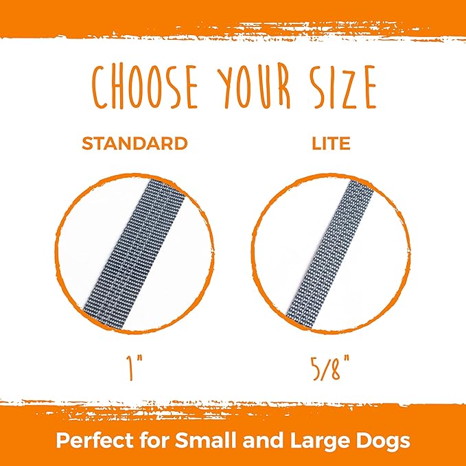 Mighty Paw Double Dog Leash - Double Leash for Two Dogs No Tangle Design. Split Lead for 2 Pets. Adjustable to Fit All Sized Breeds. Reflective Dual Pet Lead Splitter for People with 2 Pups