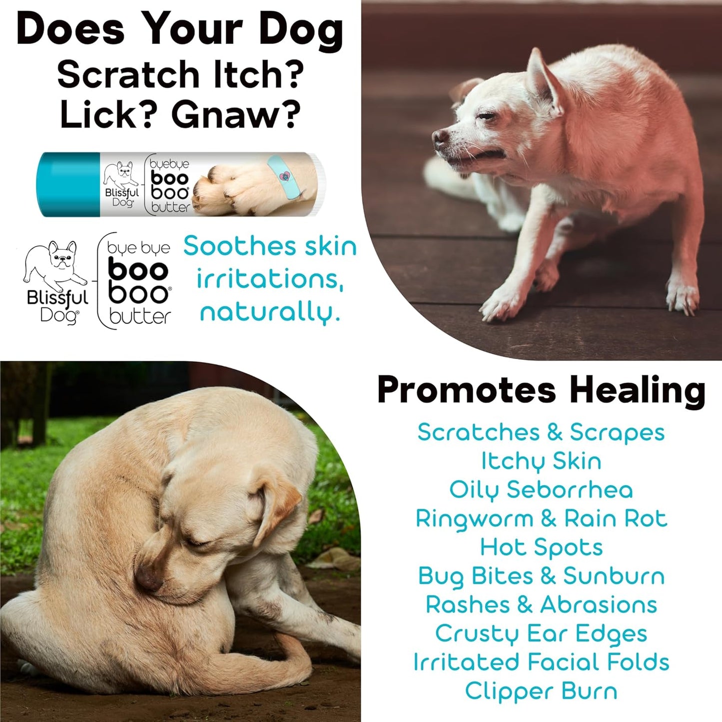 The Blissful Dog 4 oz TIN German Shorthaired Pointer Booboo Butter