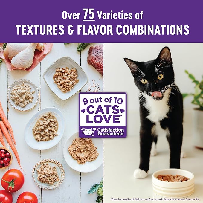 Wellness Complete Health Cubed Adult Wet Cat Food, Natural, Protein-Rich, Grain Free, 5.5 Ounce, 24 Pack, (Tuna Entrée)