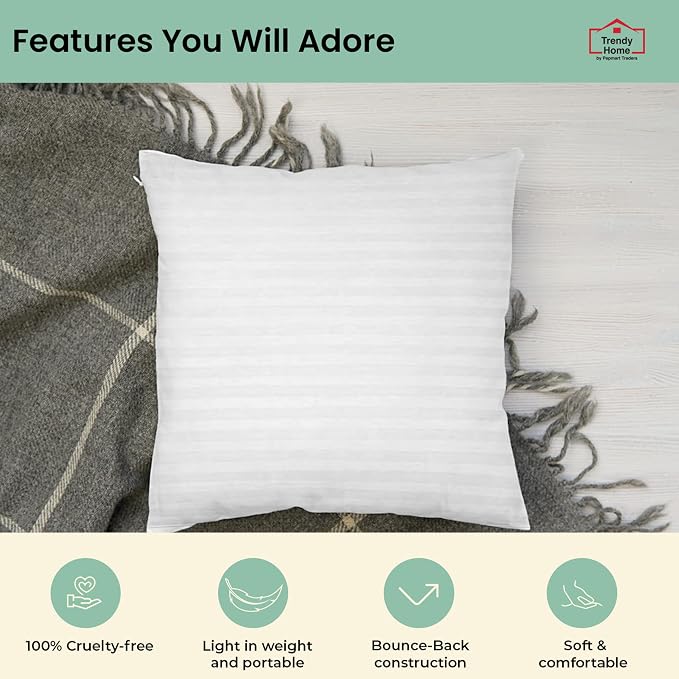 Trendy Home 22x22 Throw Pillow Insert (Set of 2, White) Bed and Couch Pillows Stuffer Hypoallergenic, Decorative Home Indoor Outdoor Sofa Pillow Filler (Machine Wash, 2 Pack)