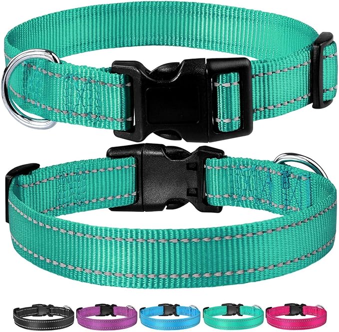 Reflective Dog Collar with Buckle Adjustable Safety Nylon Collars for Small Medium Large Dogs, Teal XXS