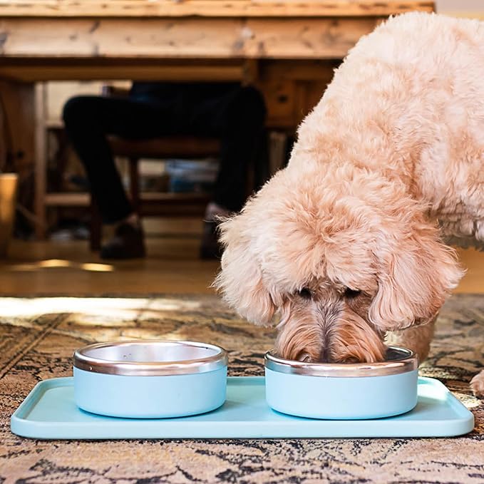 Trot Pets Premium Dog Bowls | Stainless Steel Bowl Set for Small, Medium, or Large Dogs | Non-Slip Food and & Water Slow Feeder | Durable, BPA-Free, Anti-Skid, Dishwasher Safe (Sky, Small)