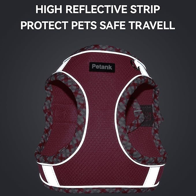 Petank Dog Harness for Small Medium Dogs No Pull, Puppy Harness and Leash Set for Walking, Running, Training, Small Dog Harness, Medium Dog Harness (Grey, XXS)