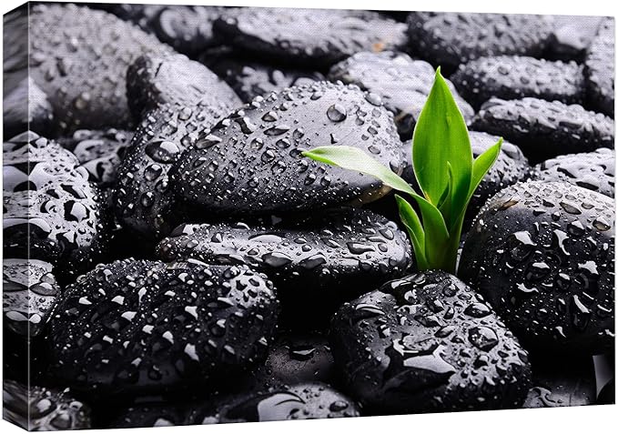 wall26 Canvas Print Wall Art Raindrops on Black Rocks with Sprouting Plant Floral Nature Photography Realism Bohemian Scenic Relax/Calm Cool for Living Room, Bedroom, Office - 24"x36"