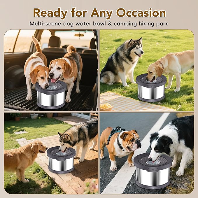 UPSKY Dog Water Bowl No Spill 8L Stainless Steel, 2.1 Gallon Large Capacity Spill-Proof Dog Bowls, Non-Slip Slow Drinking Anti-Splash Bowl for Large Messy Drinkers, No Mess Indoor/Outdoor Use, Gray