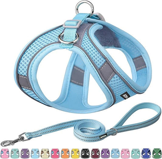AIITLE Dog Harness, No-Pull Cat Harness with a Leash, Adjustable Reflective Dog Vest, Cat Harness Escape Proof, Outdoor Walking, Running,Training for Extra Small Dogs and House Cats Pure Blue XXXS