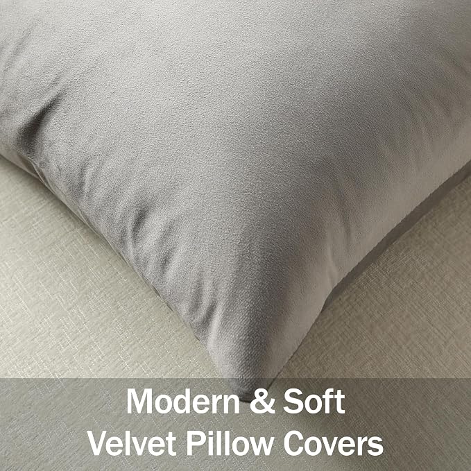 Euro Sham Covers 24x24 Light-Grey: Pack of 2 Cozy Soft Velvet Square Modern Luxury Decorative Throw Pillow Cases for Sofa Couch Living Room Bed Home Decor