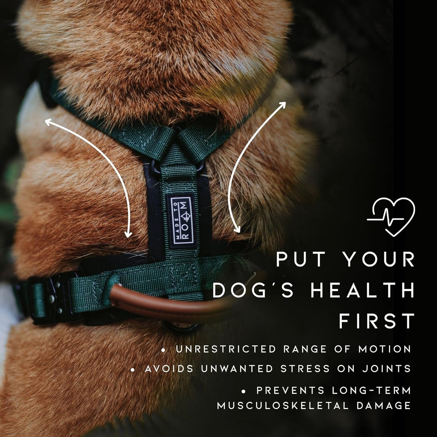 MADE TO ROAM Premium Explorer Harness - Y-Shaped Dog Harness with Adjustable Durable Nylon, Soft Padding, Metal Buckles and Leather Handle for Small, Medium, Large Dogs (Florida Seaside, Size 3)
