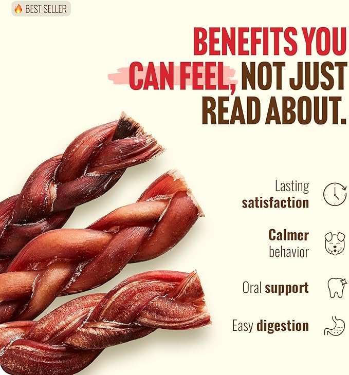 Natural Farm Odor-Free Braided Bully Sticks (4-5 Inch, 10 Pack) - 100% Grass-Fed Beef, Grain-Free, Low Fat & Fully Digestible Best Dental Treats, Safest Long Lasting Pizzle Chews to Keep Your Dog Busy