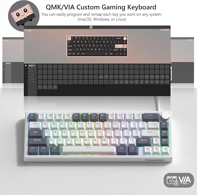 Womier 60% Gaming Keyboard Wired, Creamy Mechanical Keyboard QMK/VIA | Hot Swappable Gasket Mount RGB Key board & Translucent Keycaps POM Linear Switch for Windows/MAC (VK66 PRO White)