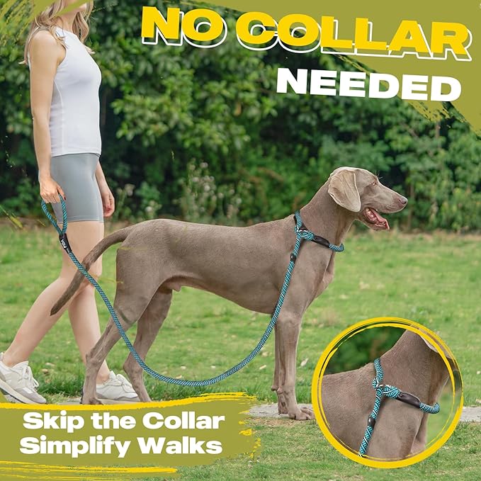 Fida Durable Slip Lead Dog Leash Bulk Pack of 5, Heavy Duty 1/2" x 6 FT Comfortable Strong Rope Slip Lead for Large, Medium & Small Dogs No Pulling Pet Training Leash with Highly Reflective (Blue)