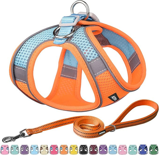 AIITLE Comfortable Dog Harness and Leash Set for Walking - Step in Vest Harness,Reflective Bands, Adjustable No Pull Puppy Essentials, for Small Dogs and House Cats Orange XS