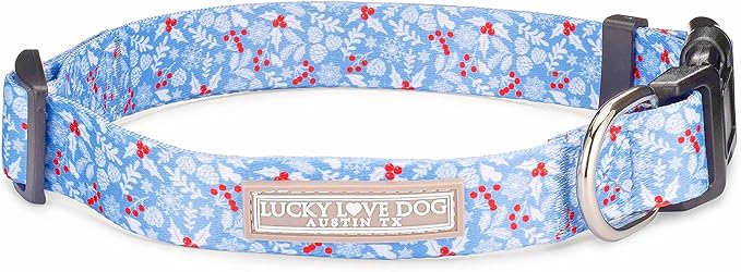 Lucky Love Dog - Adjustable Dog Collar with Easy Click Buckle for Medium Dogs, Durable, & Comfortable for Male & Female Dogs, Pet Collar for Puppies & Adult Ones - Winterblue, Medium