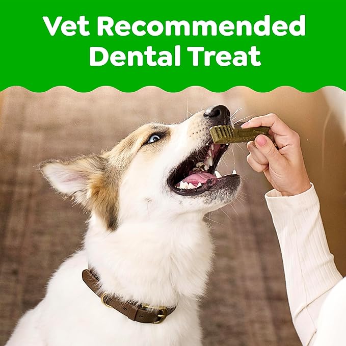 Greenies Veterinarian-Recommended Adult Natural Dental Dog Treats Petite Size, Sweet Potato Flavor, 36 oz. Pack, 60 Count