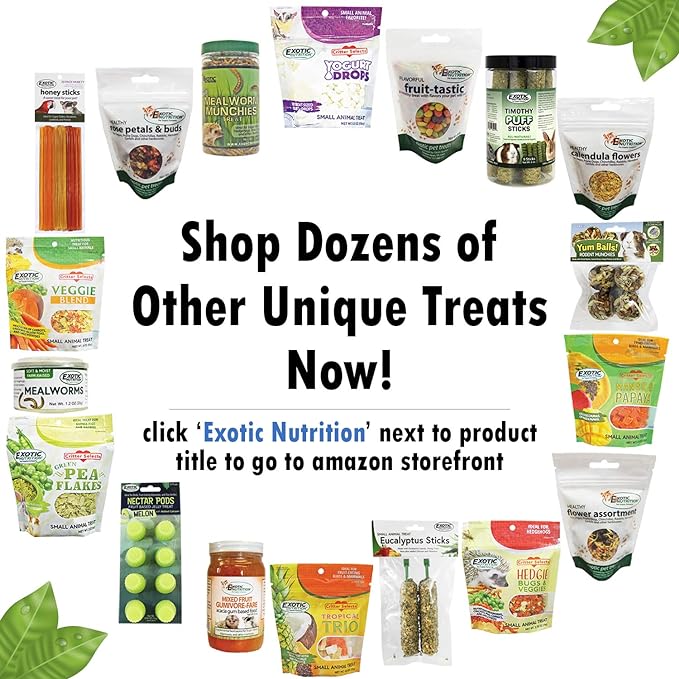 Exotic Nutrition Pasture Plus+ Dandelion Delicacy - Healthy Natural High-Fiber Dried Flower Treat - Guinea Pigs, Rabbits, Chinchillas, Prairie Dogs, Degus, Hamsters, Gerbils & Other Small Pets