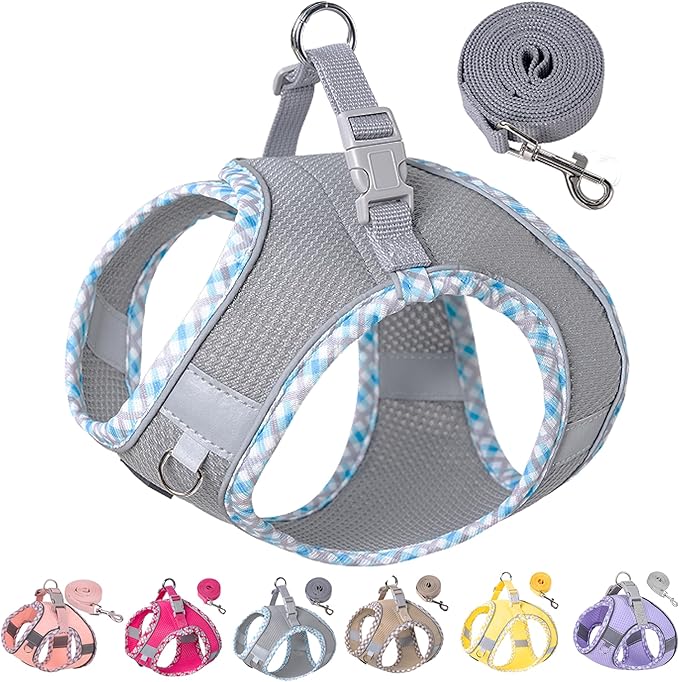 Petank Dog Harness for Small Medium Dogs No Pull, Puppy Harness and Leash Set for Walking, Running, Training, Small Dog Harness, Medium Dog Harness (Grey, L)