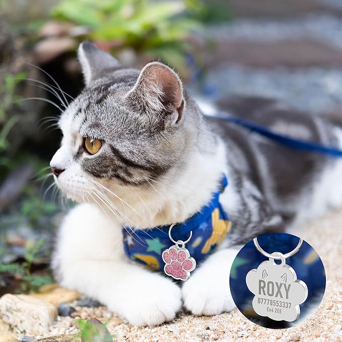 EDSG Cat Dog Tags Personalized for Pets, Dog Name Tags Cat Name ID Tag, Engraved Dog Tags Dog ID Tags Small Glitter Bling ID Tag Paw Print for Cat Pet Dog Puppy(Red,Design 2)