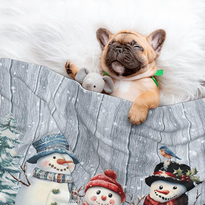 Winter Snowman Throw Blanket - Wodden Blanket for Dog Cat Snowy Pet Blankets 30x20 for Couch Sofa Bed