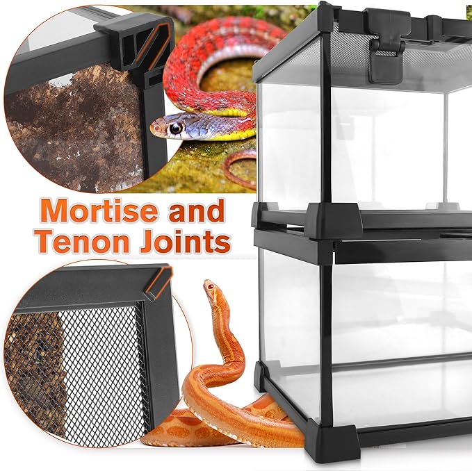 Mini Reptile Glass Terrarium Vivarium 12'' x 8'' x 6'' Full View Tank Small Amphibians Glass Habitat Cage with Feeding Slot & Box Lock Buckle