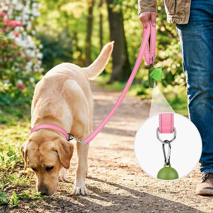 Joytale Dog Leash, 5 FT Double-Sided Reflective, Padded Handle Nylon Heavy Duty Leashes for Small Dogs Walking, Pink